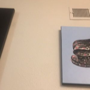 Meet your Posher, Stella